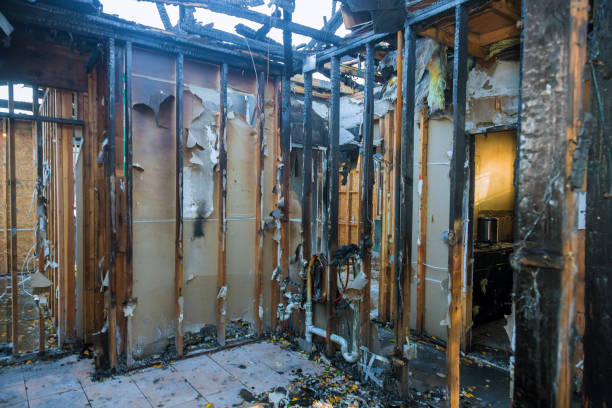 Professional Fire Damage Repair technician working in Holmes, PA
